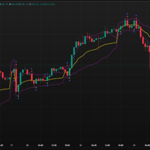 OQTT Session VWAP Lite